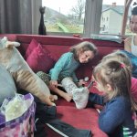 phoca_thumb_m_u leuky 19 Fotogalerie